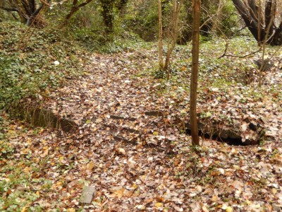 Oldnall Colliery Remains