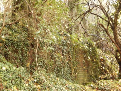 Oldnall Colliery Engine House