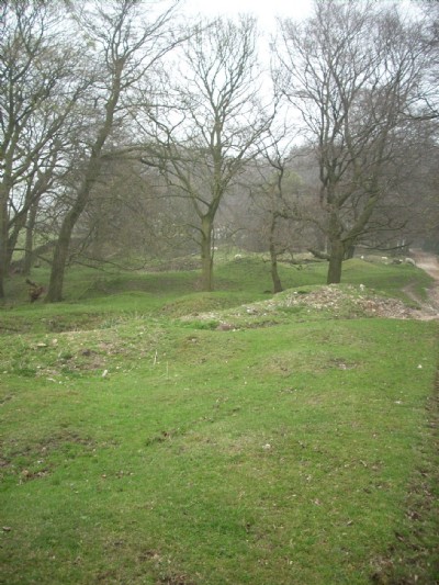 Oxlow Rake