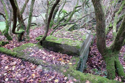 Parka Mine Remains in Woods 18.12.16