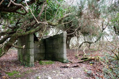 Parka Mine Remains in Woods 18.12.16
