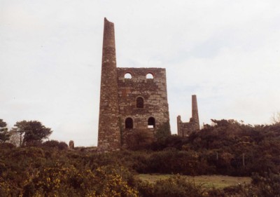 Camborne & Redruth- Wheal Peevor 70 inch Pump Eng at Sir Fredericks Shaft, whim behind 12.01.98