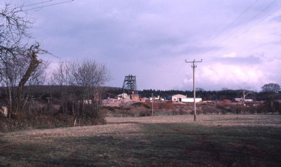 Historic Photographs Of Pendarves