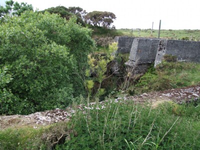 Wheal Prosper Section