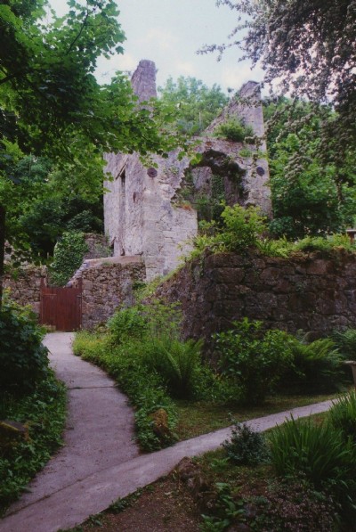 Photographs Of Polyear