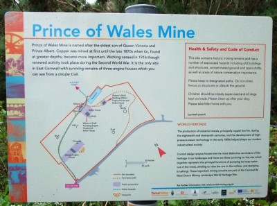 13.07.10 Prince Of Wales Mine, Site description