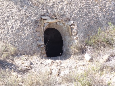 Opening
