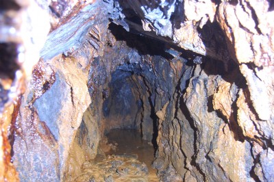 Photographs Of Pantygleien