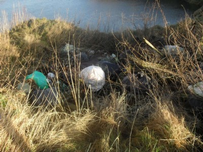 Photographs Of Park