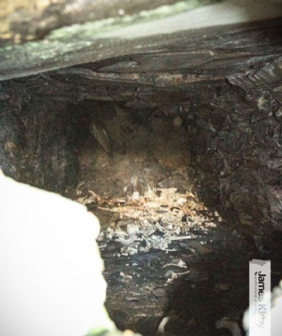 Photographs Of Parkbrow