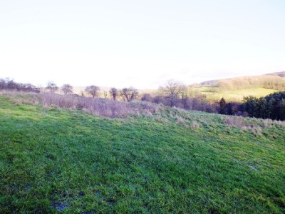 Photographs Of Parkers Shaft