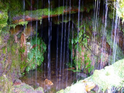 Photographs Of Pave York