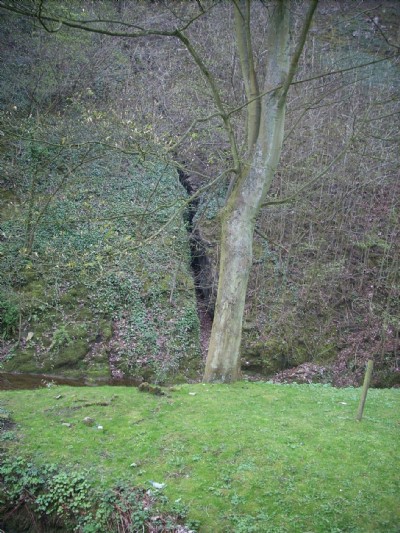 Small vein opening