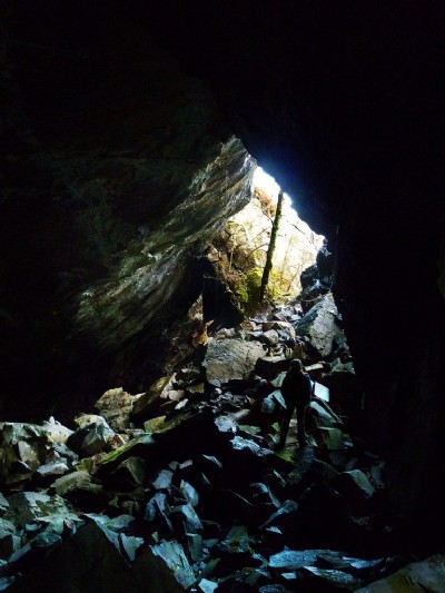 Daylight Chamber