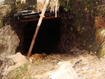 Penbreck Mine, Penbreck forest