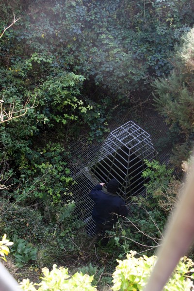 Shaft Cap, Pennant Mine, Rhuallt - October 2012
