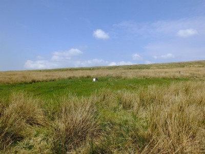 Shaft to NE