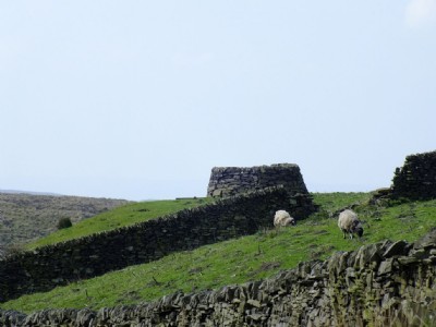 Walled shaft