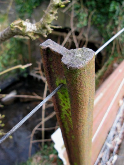 T rail used as fence post