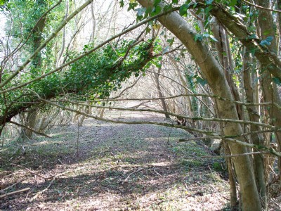 Trackbed of the old Bristol and North Somerset Railway (BNSR)