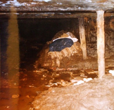 Rods pit, known locally as "Throstle nest Colliery"