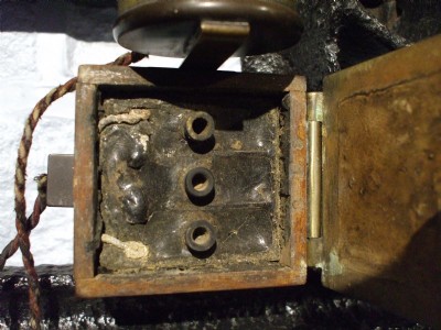 early cell