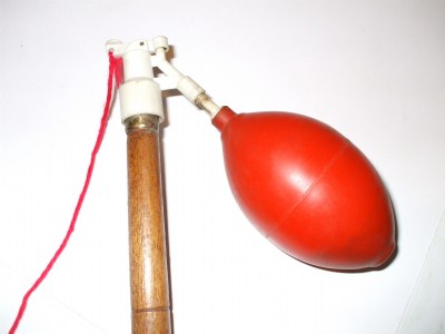 bulb