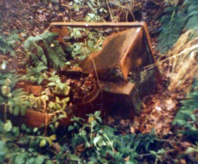 overgrown tub
