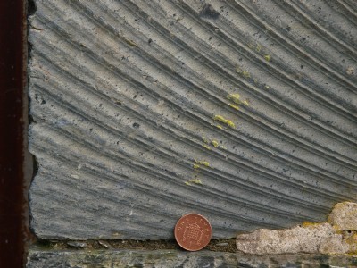 Hunter saw striation marks.