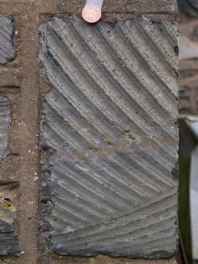 Hunter saw striation marks.