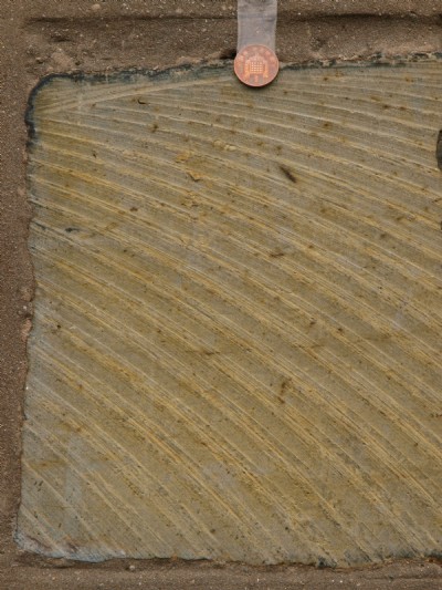 Hunter saw striation marks.