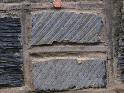 Hunter saw striation marks.