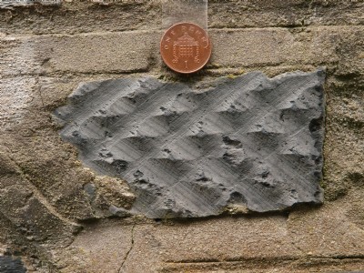 Hunter saw striation marks.