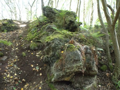 furnace waste , slag tip , codnor forge site