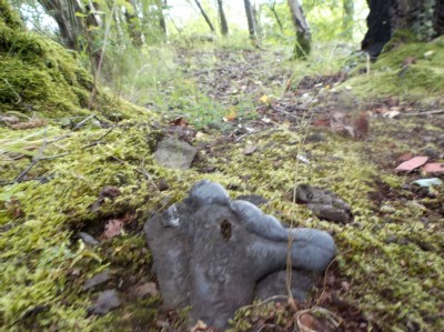 iron forge waste , codnor forge site jacksdale