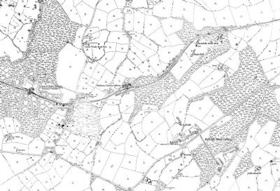 Bullcliffe Wood