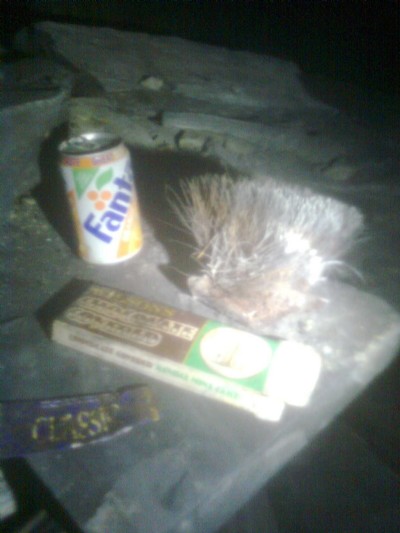 wat people av left behind
