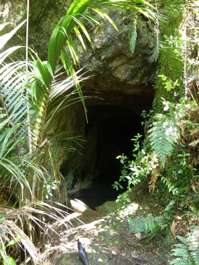 Low Level Portal