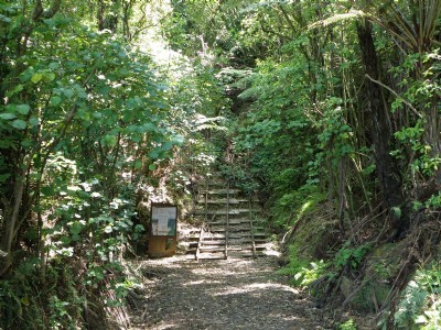 Fern Spur Incline