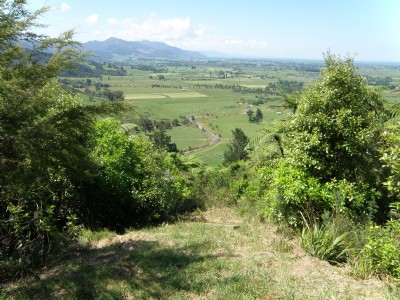 Fern Spur Incline View