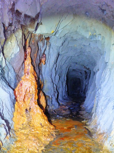 Pluckhor Mine level