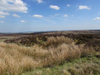 Old Shaft