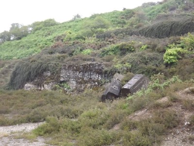Bissoe Pool Mine