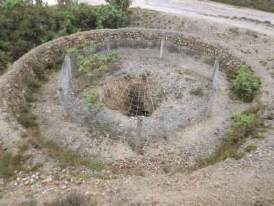 Bissoe Pool Shaft