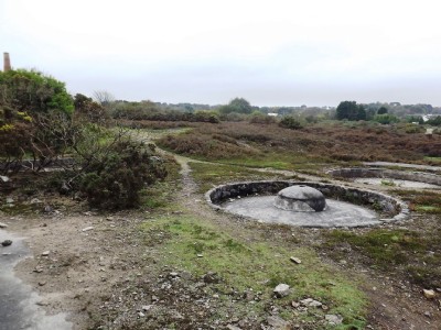 Photographs Of Poldice (Parc-An-Chy) Arsenic Works (Photo ref 68925)