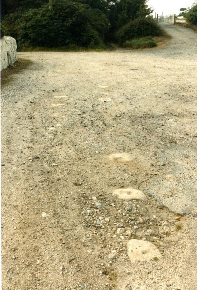 Historic Photographs Of Poldice