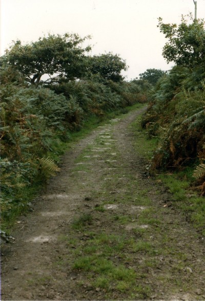 Poldice Tramroad
