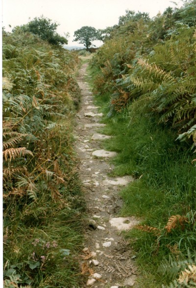Poldice Tramroad