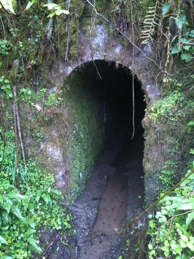 The portal