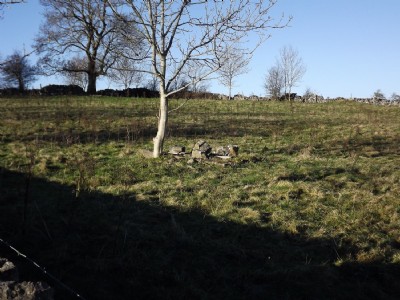 Small shaft